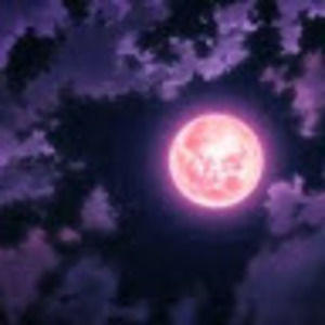 Meet your Posher, Abigail